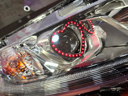 Heart Shaped Tint Halo RGBW