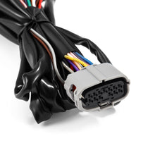 22-25 Toyota Tundra/Sequoia with Factory LED Reflector Headlights to AlphaRex LUXX-Series/NOVA-Series Headlights Converters